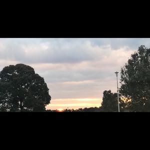 Meet your Posher, Diana